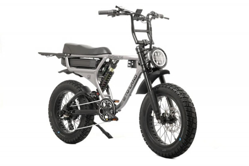 Toland Huntsman Plus 1000w eBike